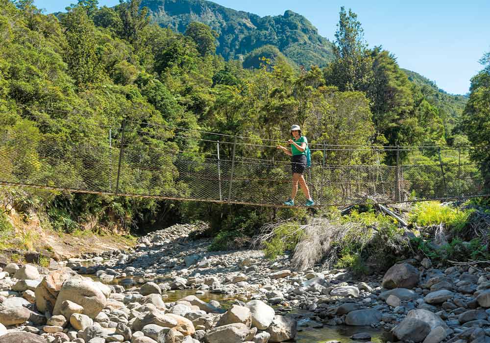 Auckland to Coromandel