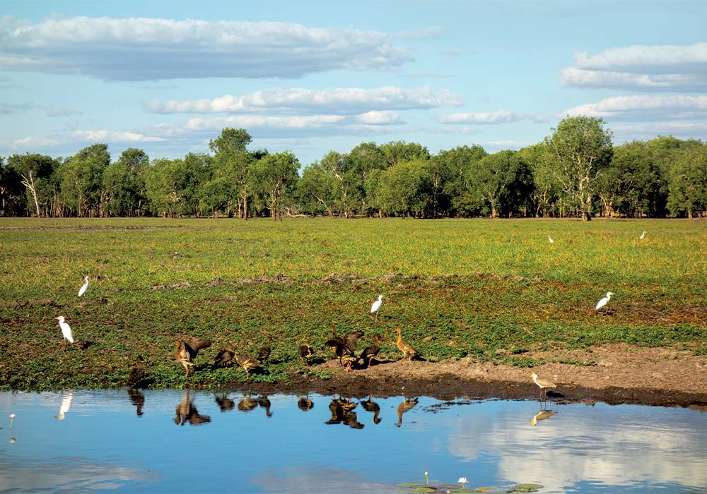 Kakadu National Park