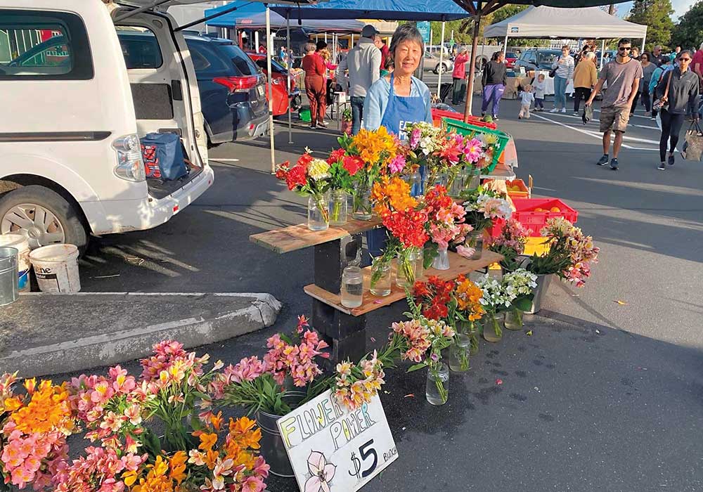 8 great: Farmers markets in NZ