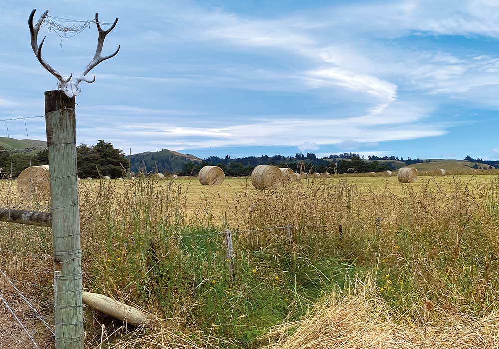 Hurunui Heartland Cycle Ride