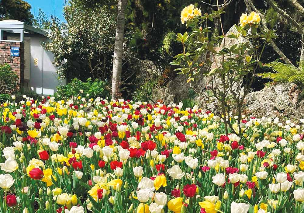 8 great spring flower destinations