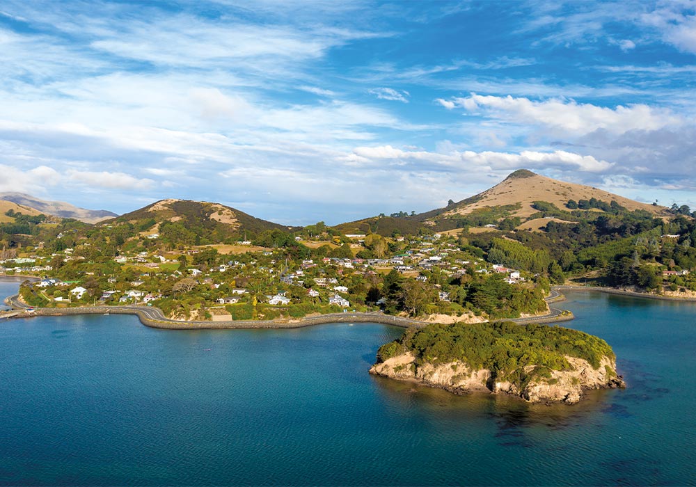 Explore: Otago Peninsula