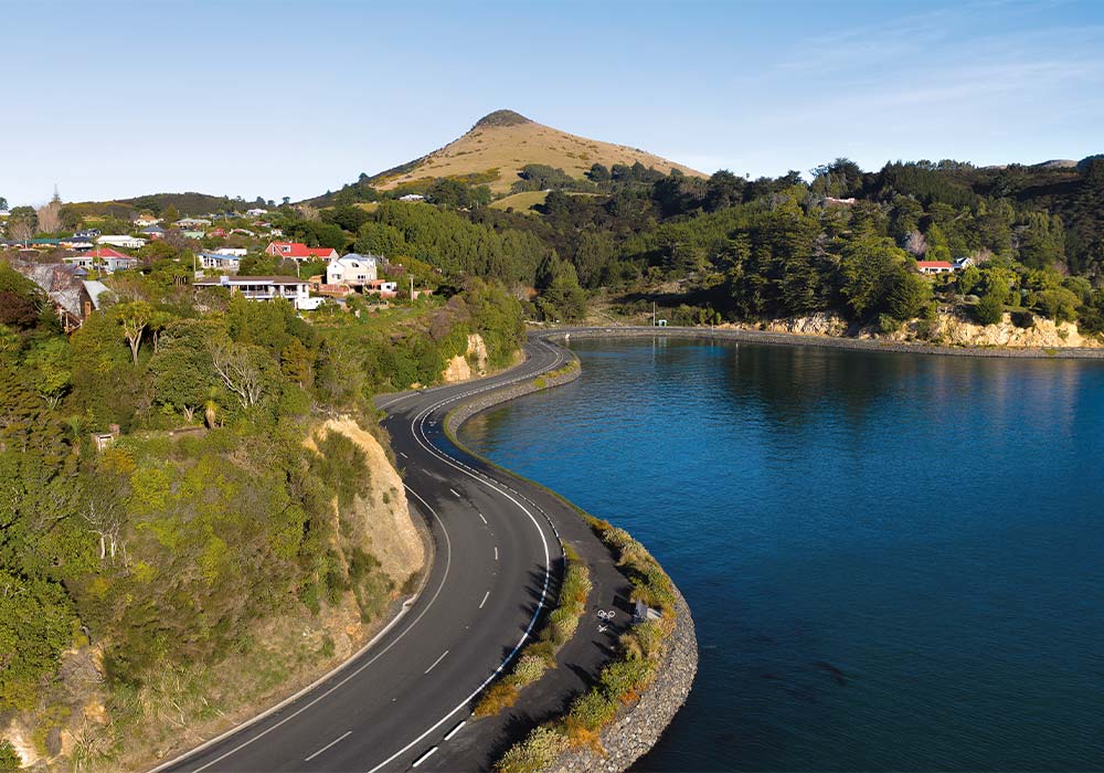 Explore: Otago Peninsula