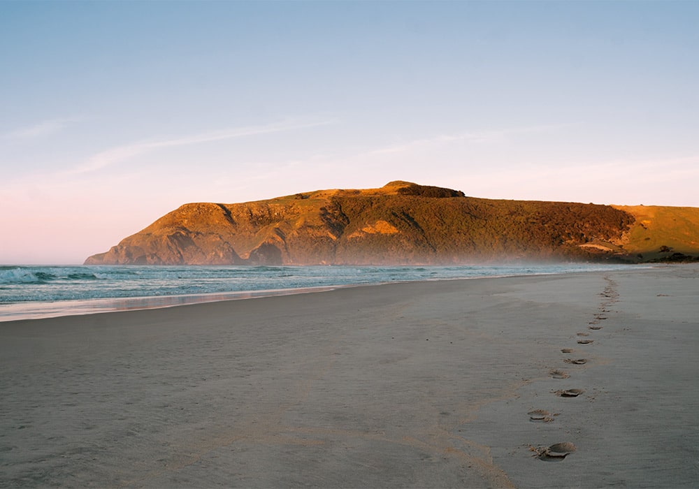 Explore: Otago Peninsula