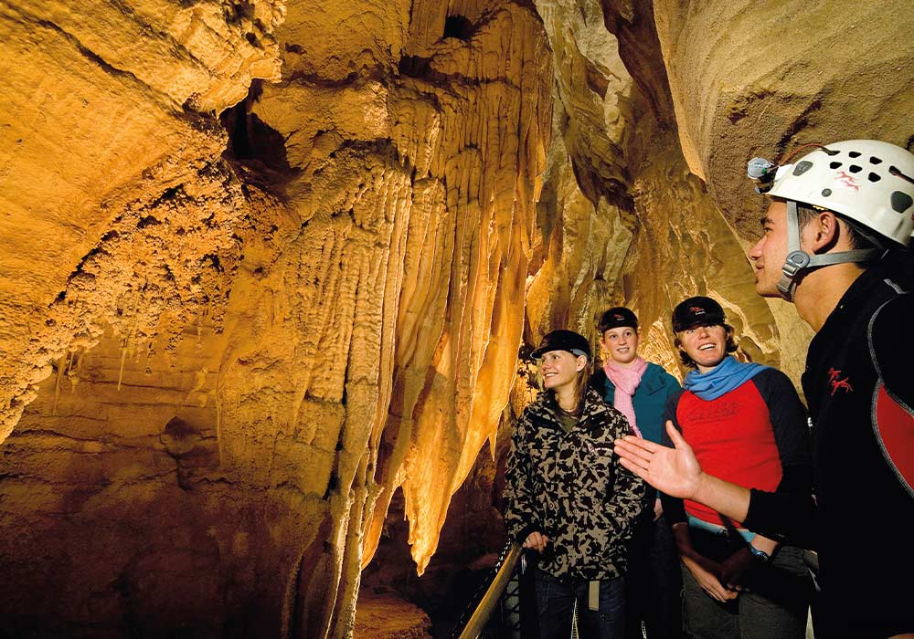 Experience: Waitomo Caves