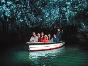 Experience: Waitomo Caves