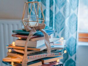 Christmas gift guide books