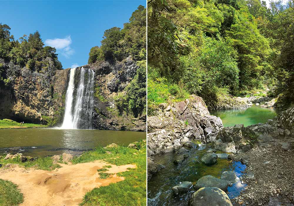 Five camping holidays to enjoy in Auckland