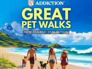 Great pet walks