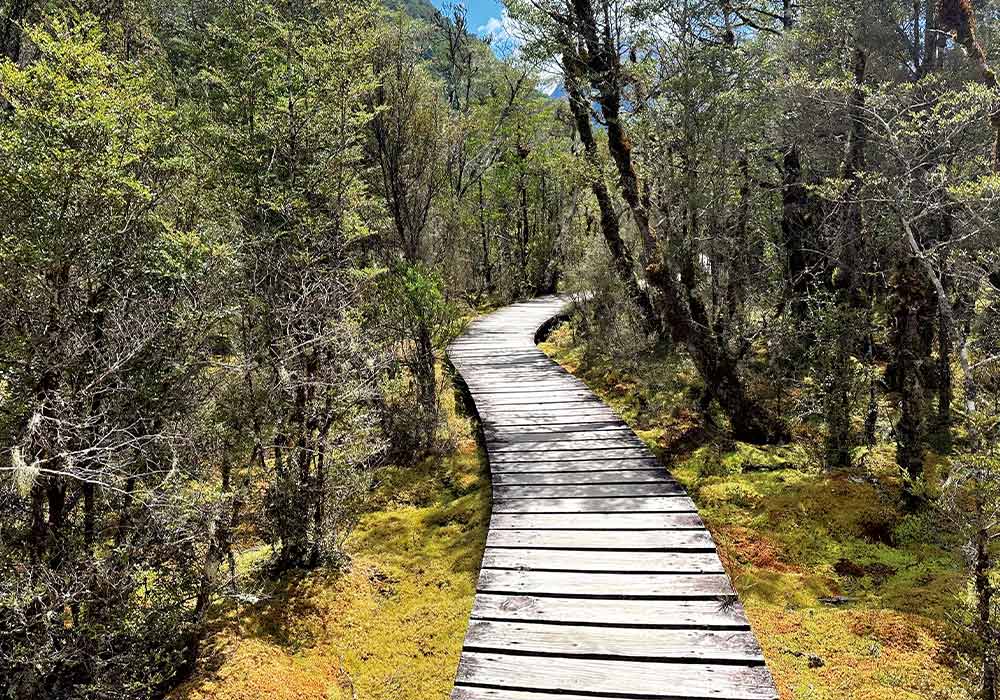The road to Milford Sound