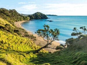 Tiny towns: Tutukaka
