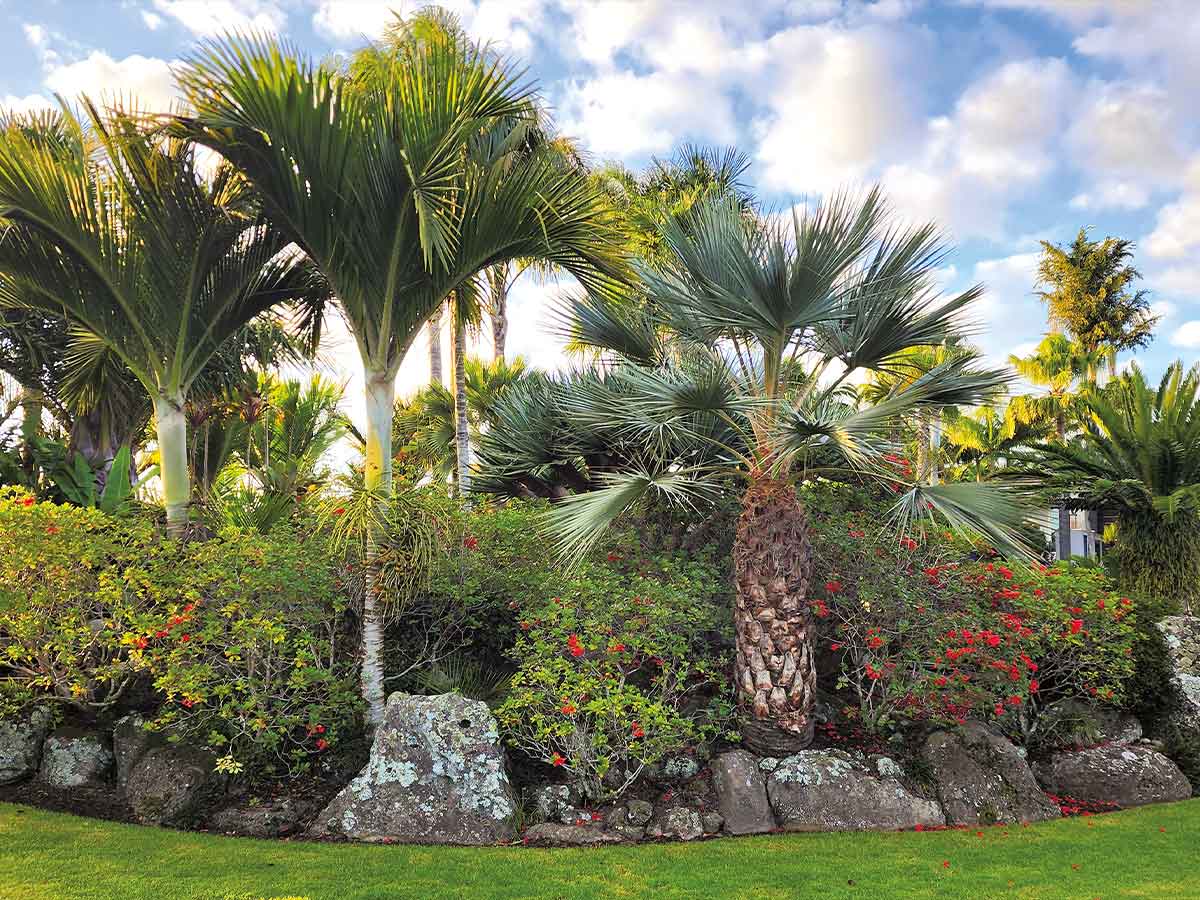 8 great new trust gardens